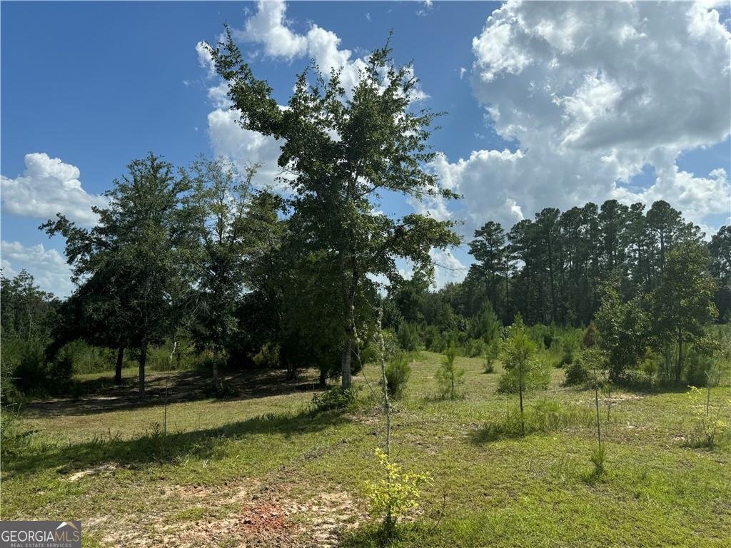 18746 HWY 301 Nahunta - 17