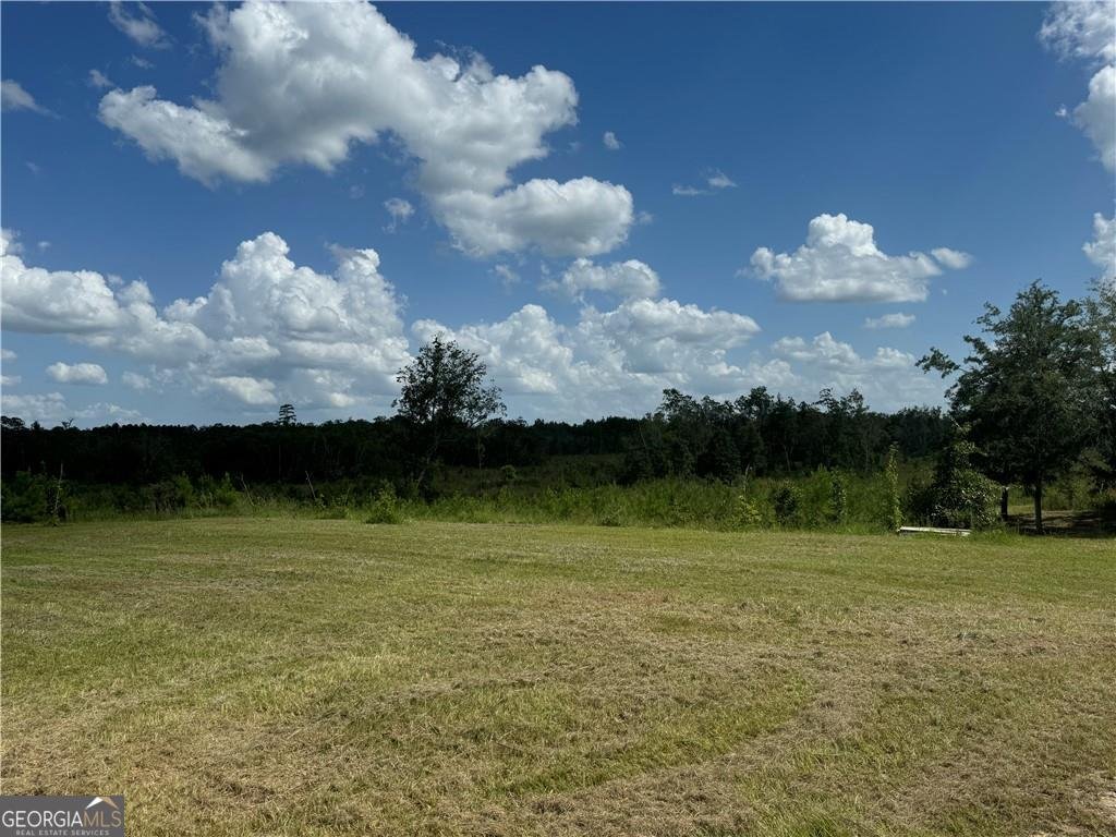 18746 HWY 301 Nahunta - 18
