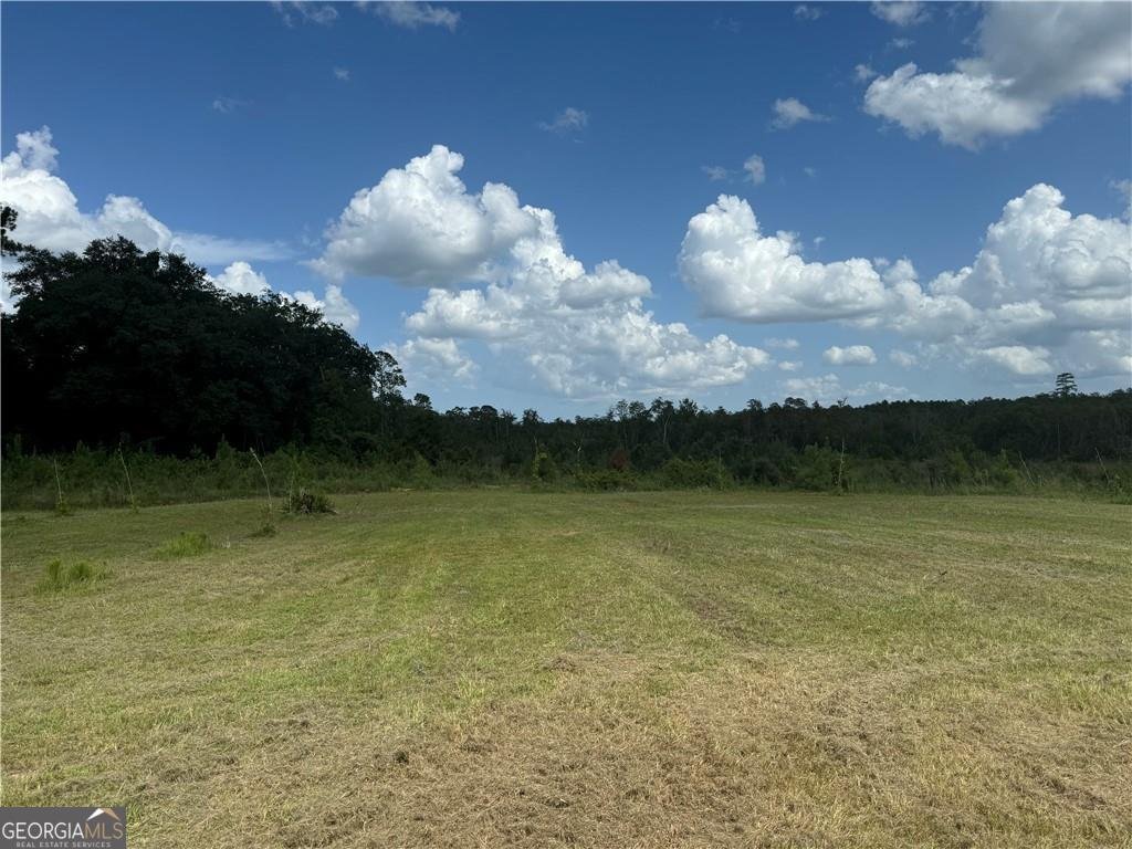 18746 HWY 301 Nahunta - 19