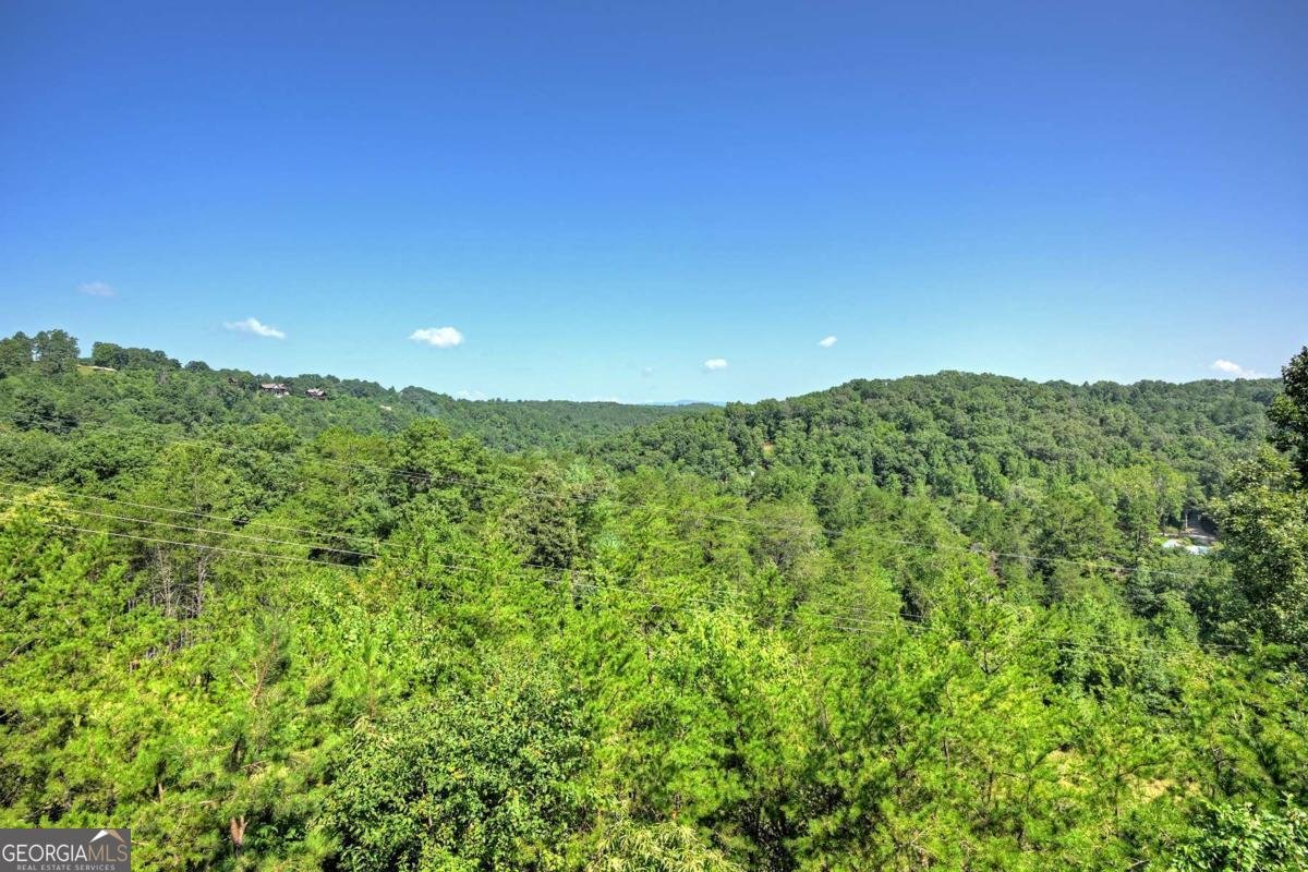 406 Hope Drive Blue Ridge - 42