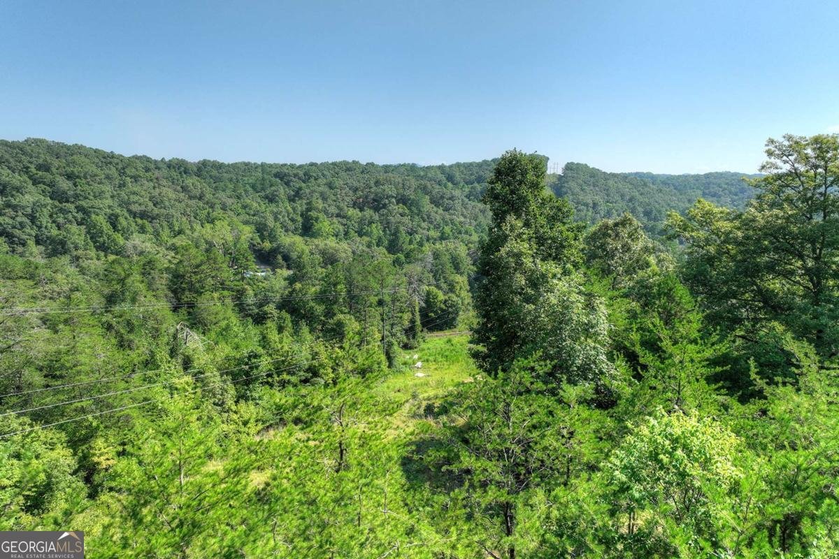 406 Hope Drive Blue Ridge - 59