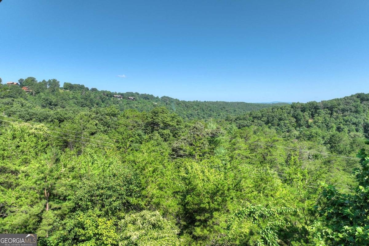 406 Hope Drive Blue Ridge - 62