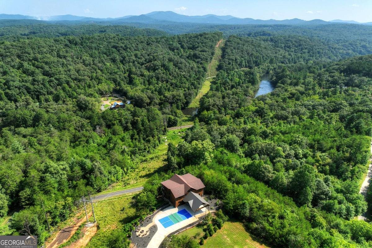406 Hope Drive Blue Ridge - 64