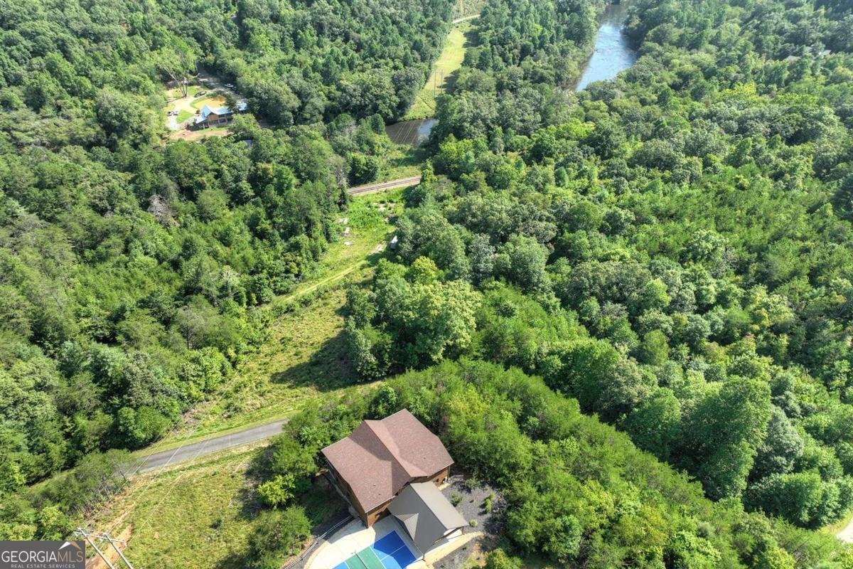 406 Hope Drive Blue Ridge - 65