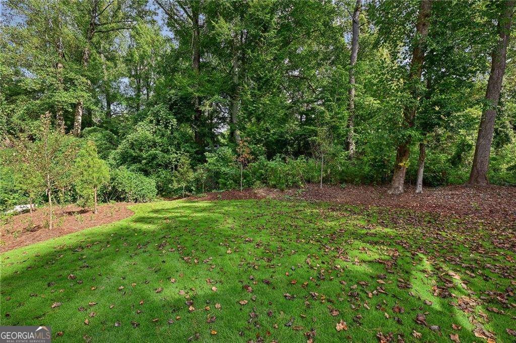 114 Terrace Drive Atlanta - 47