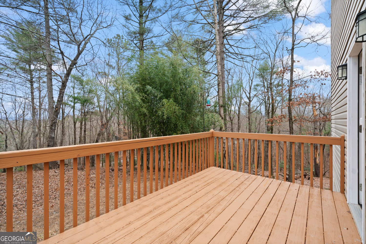 168 Ridgecrest Circle Ellijay - 11