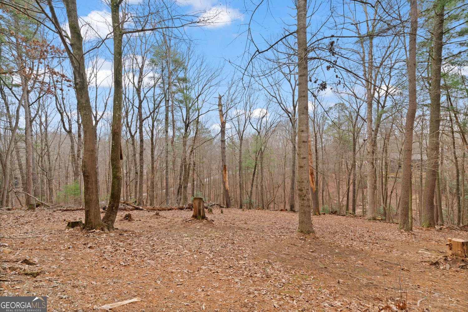 168 Ridgecrest Circle Ellijay - 32