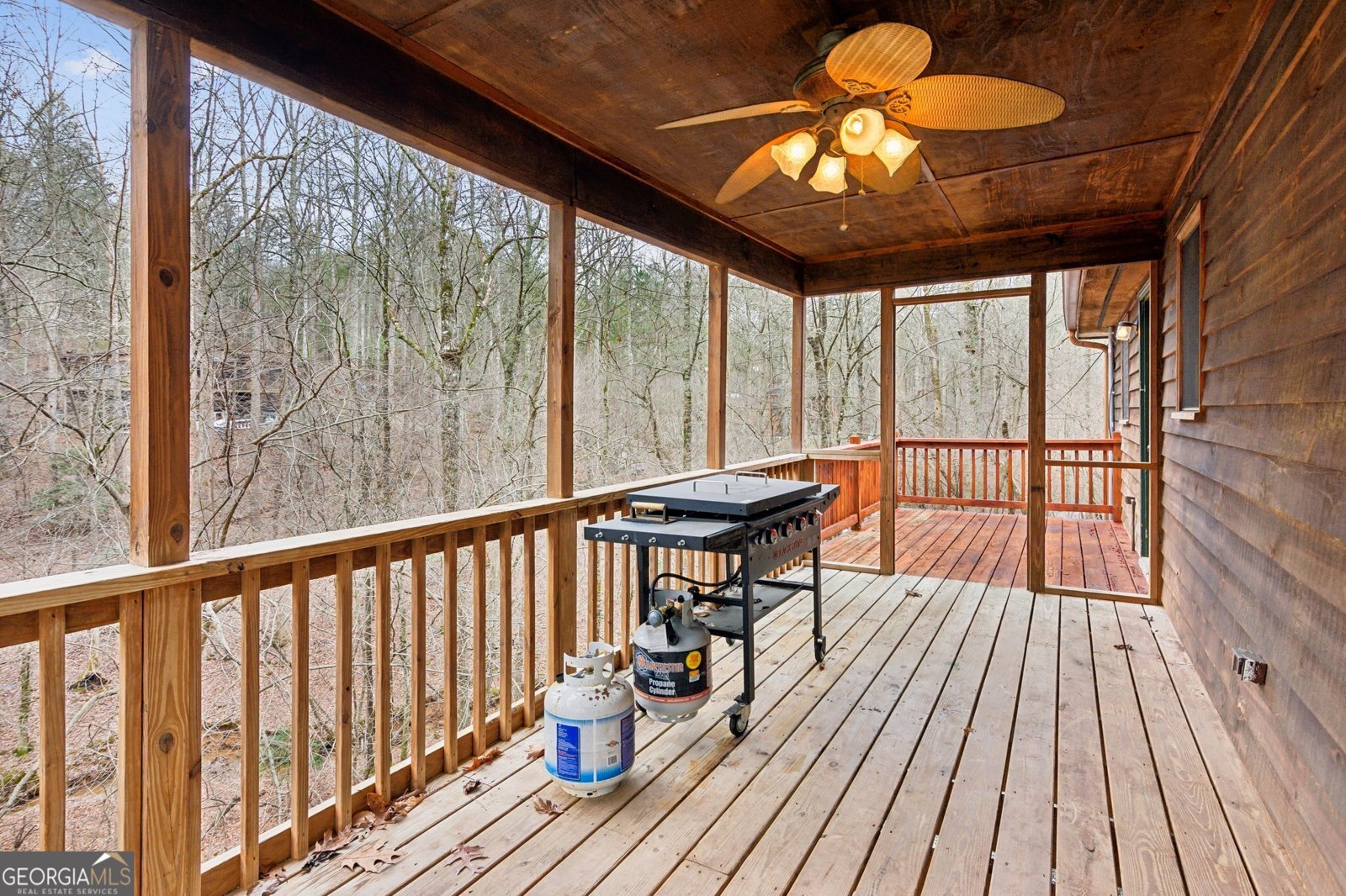 64 Hart Court Ellijay - 24