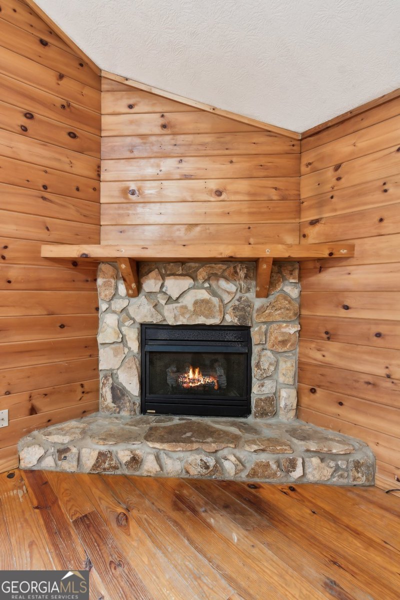 64 Hart Court Ellijay - 5