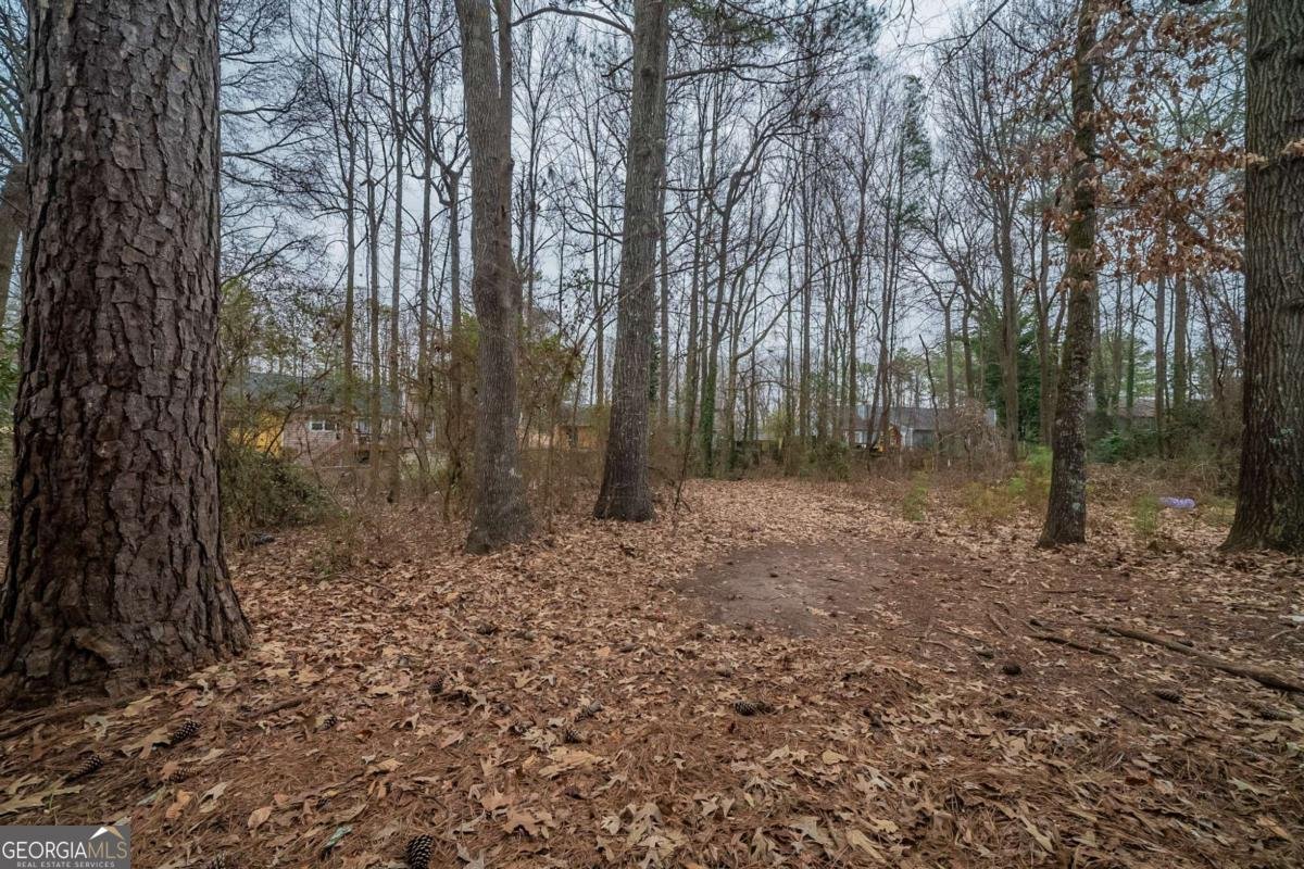 1119 Summer Brook Road Atlanta - 23