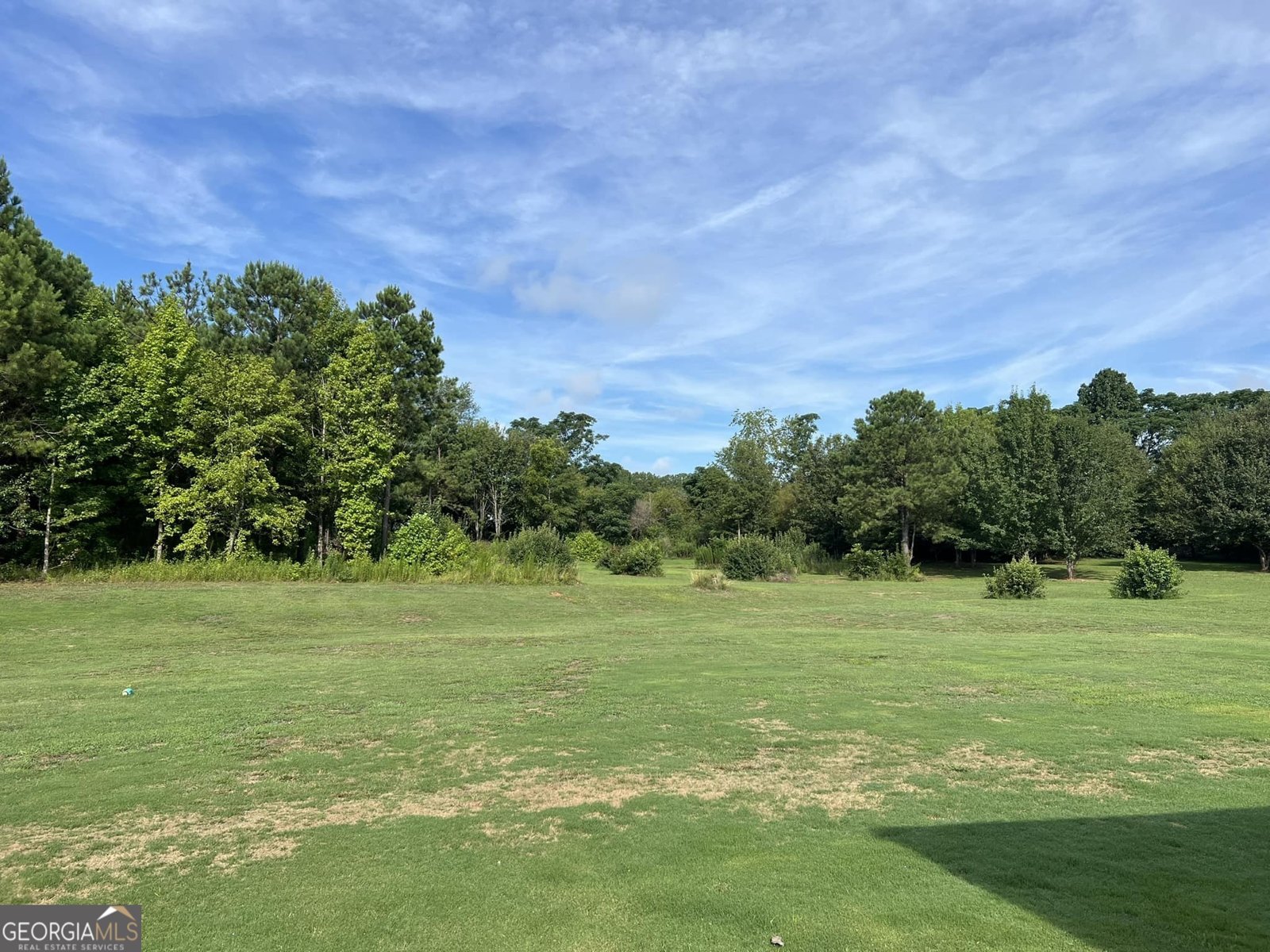 385 Brown Station Drive Williamson - 45