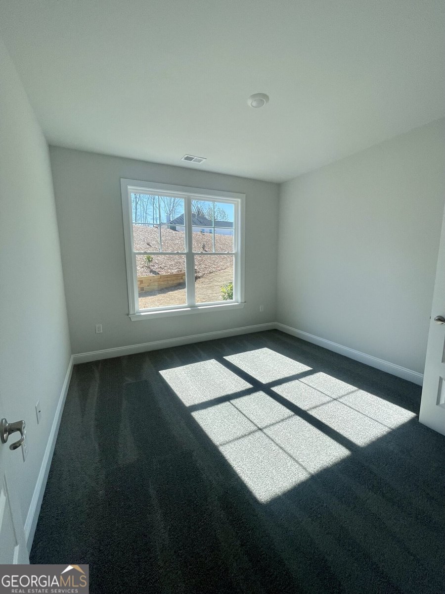 3392 Milan Court Douglasville - 11