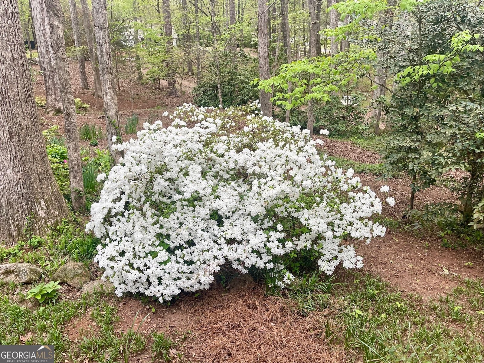 106 Hoot Owl Lane Eatonton - 54