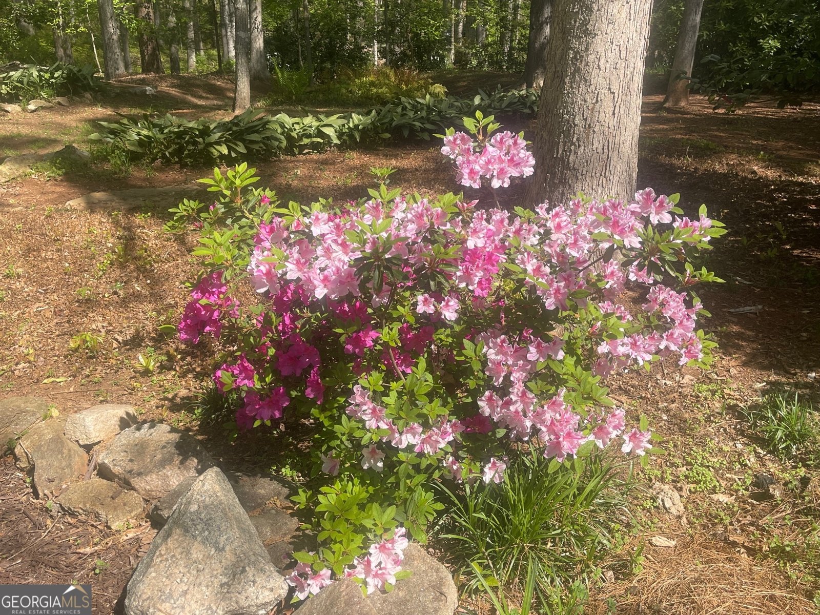 106 Hoot Owl Lane Eatonton - 56