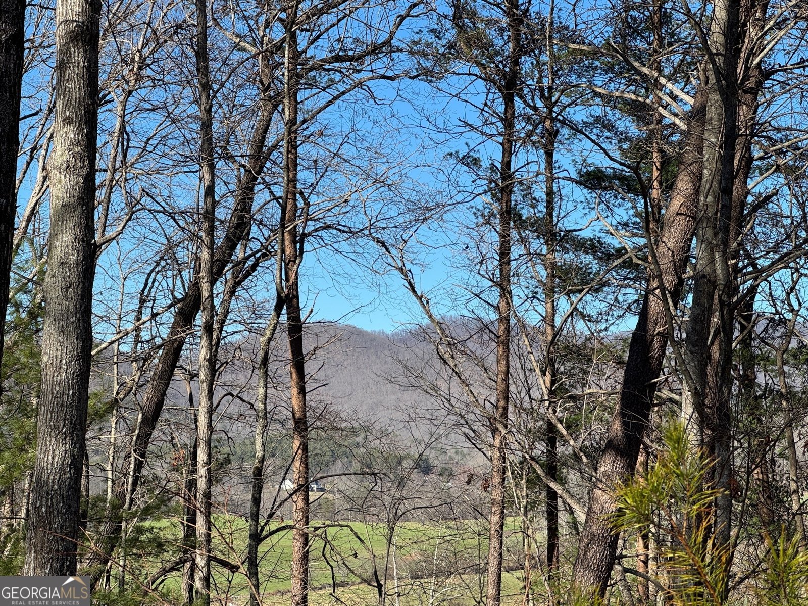 74 Timber Lane Blairsville - 2