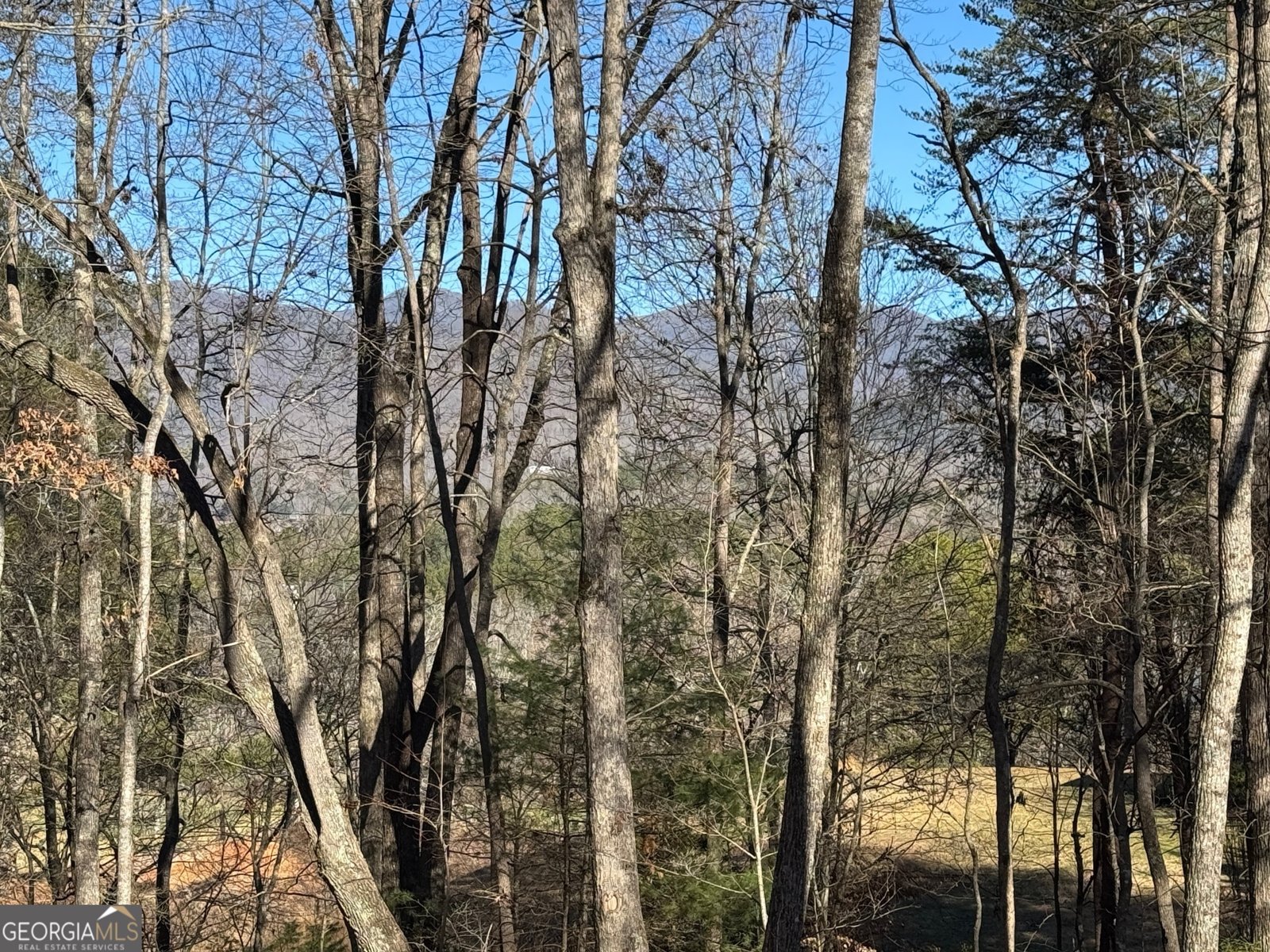 74 Timber Lane Blairsville - 3
