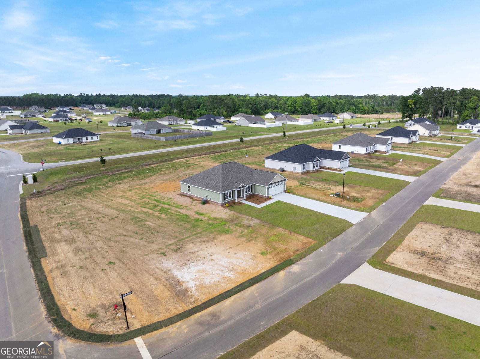 301 Parkersburg Lane Statesboro - 32