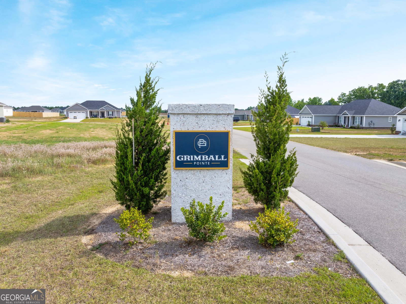 301 Parkersburg Lane Statesboro - 37