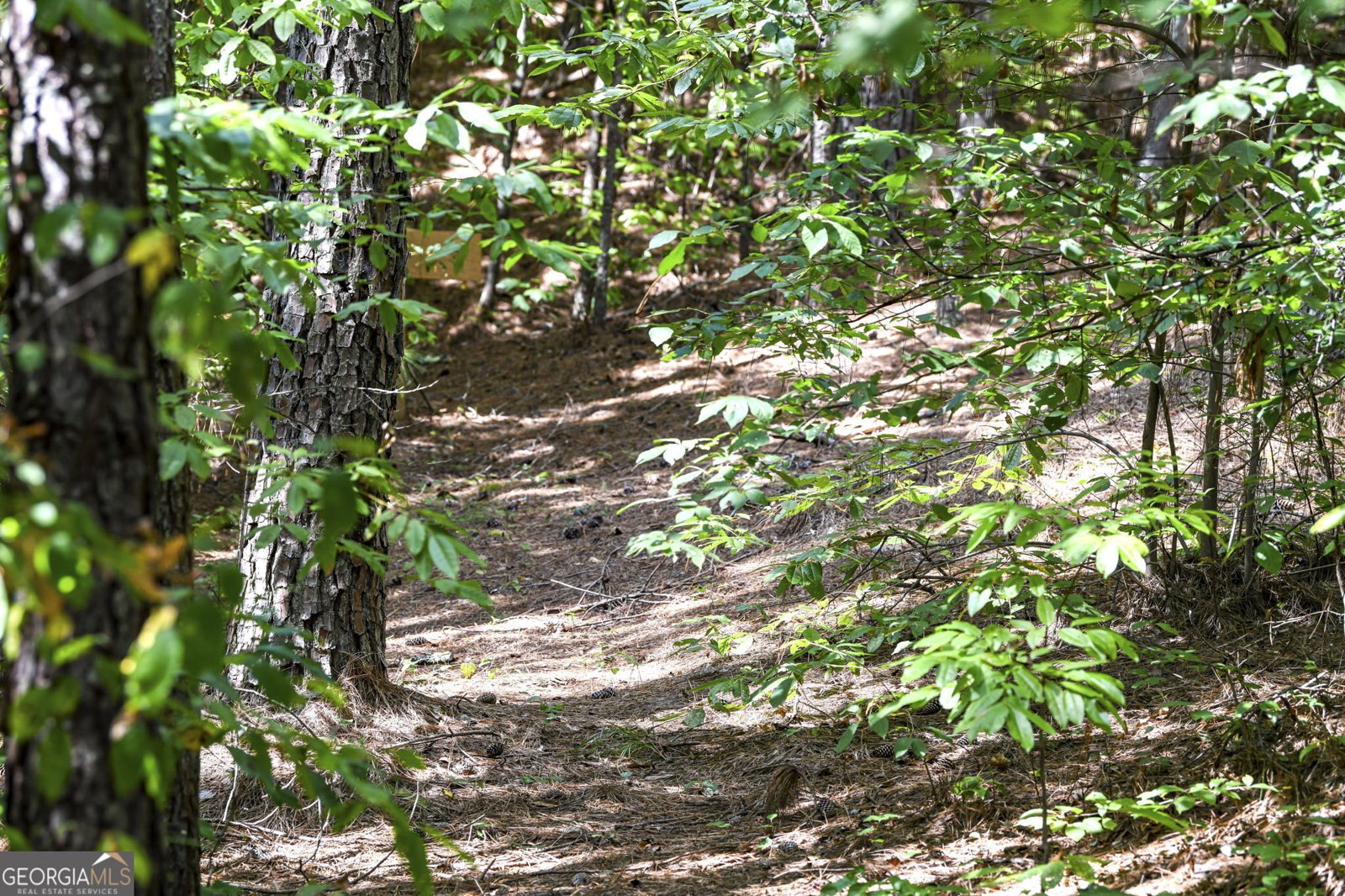 271 Postelle Road Copperhill - Photo 43