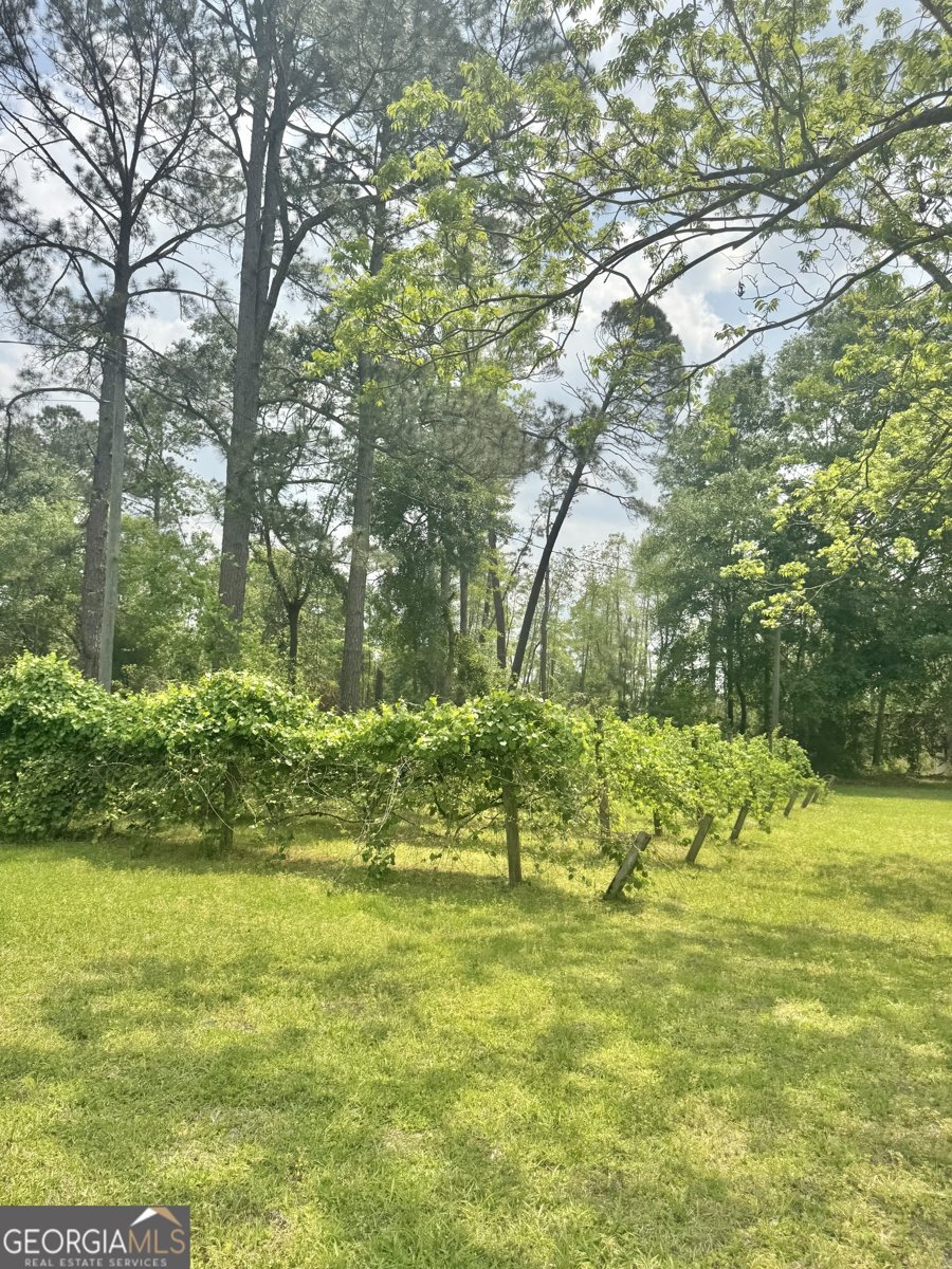 123 Blount Street Reidsville - 40
