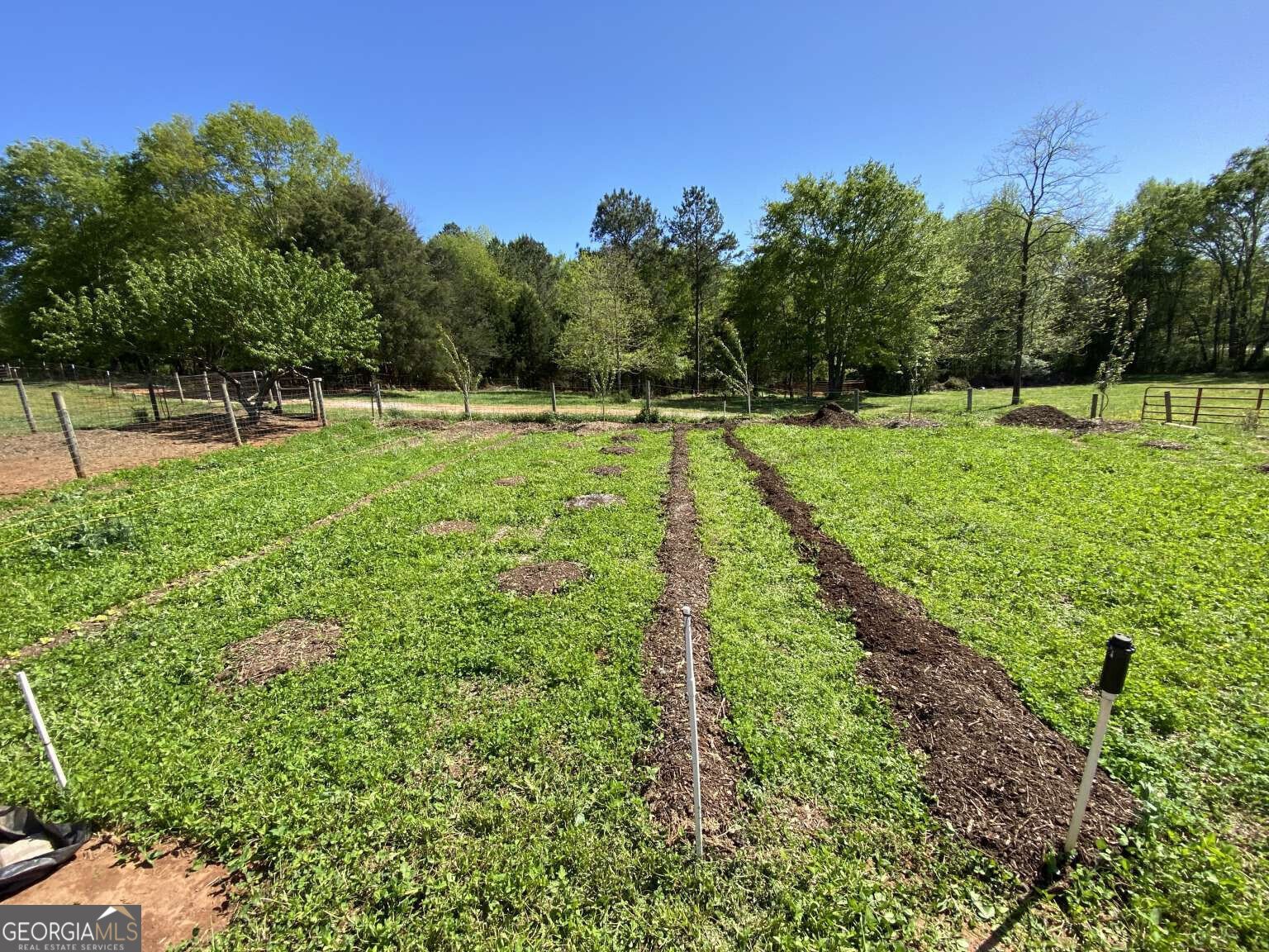 2844 Press Mann Road Elberton - 35
