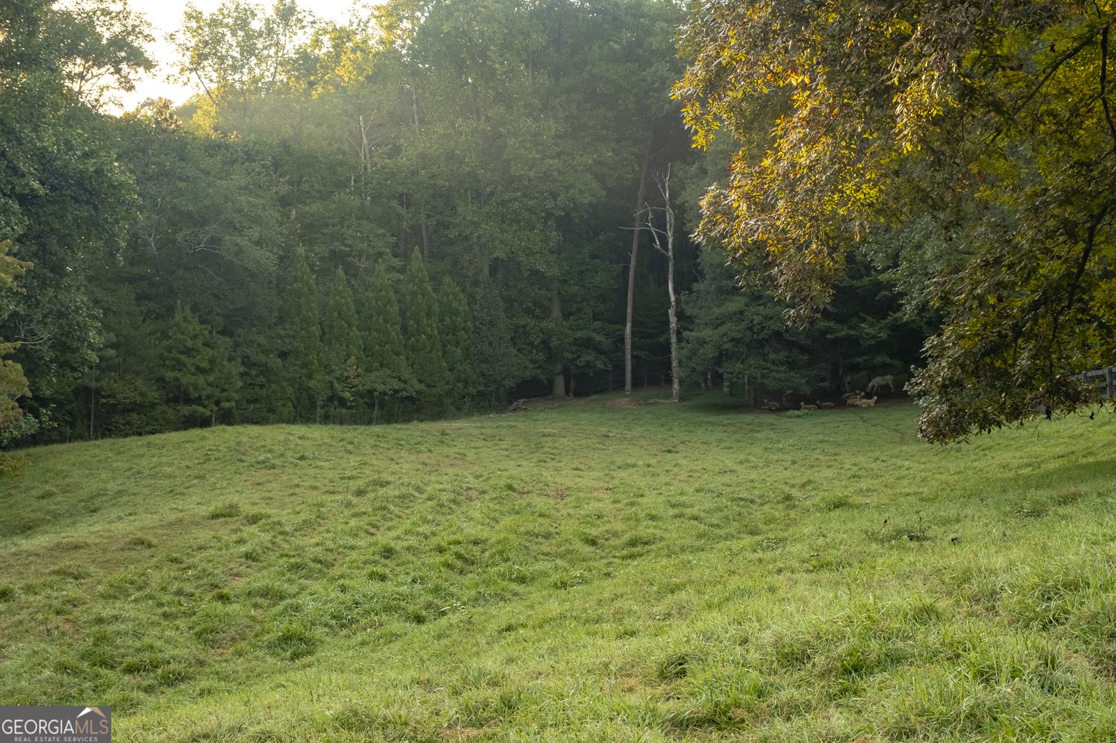 6251 Yellow Creek Road Murrayville - 36