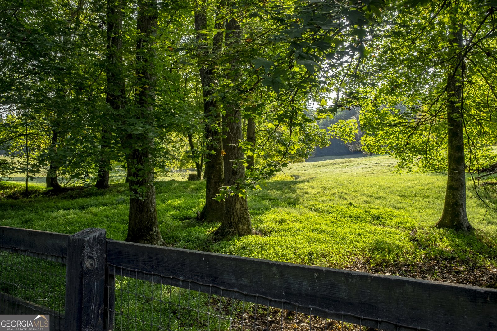 6251 Yellow Creek Road Murrayville - 39