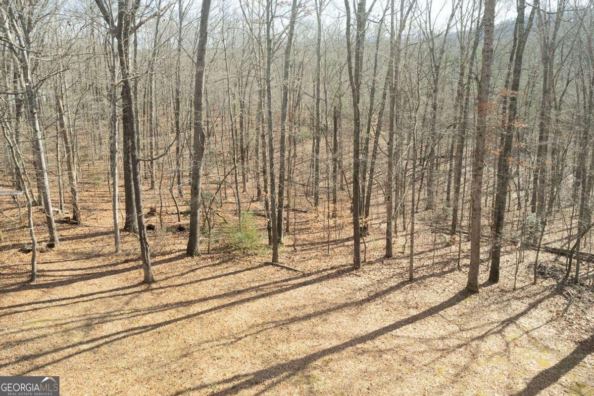 665 Davis Road Blue Ridge - 30