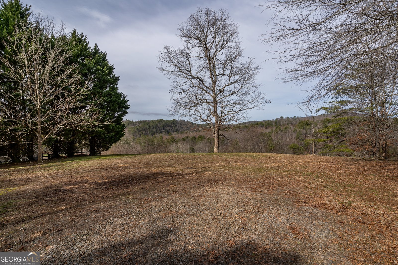 112 Deer Ridge Murphy - 44