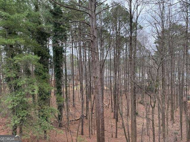 911 Laurel Crest Drive Woodstock - 32