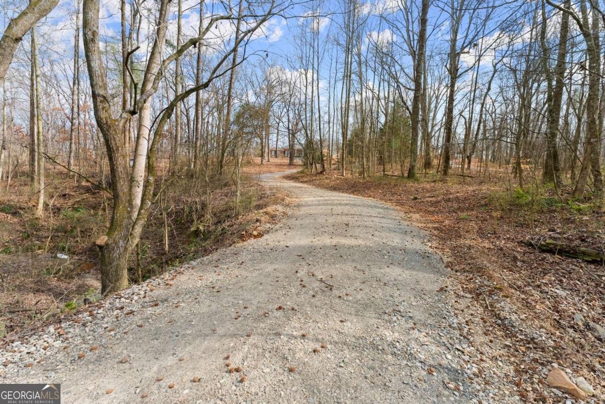 6320 Brady Road Murrayville - 61