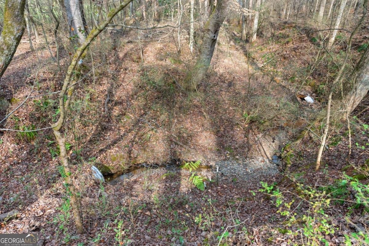 6320 Brady Road Murrayville - 63