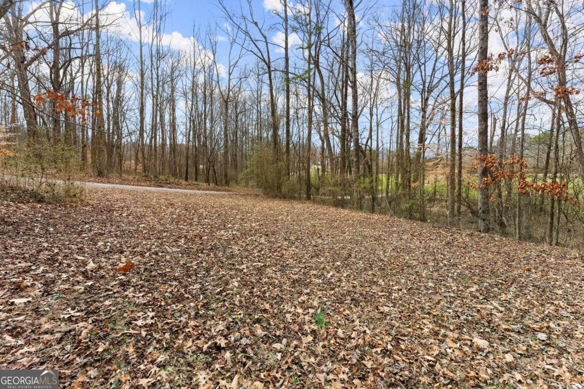6320 Brady Road Murrayville - 67