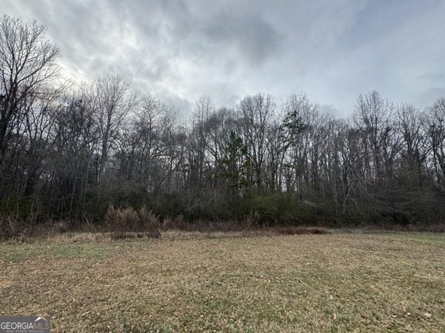 909 Curt Bailey Road Hartwell - 34