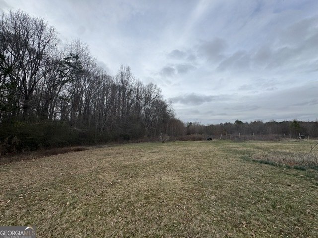909 Curt Bailey Road Hartwell - 35