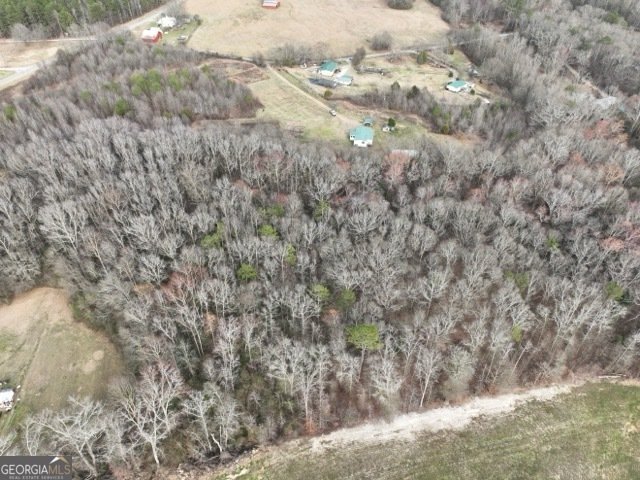 909 Curt Bailey Road Hartwell - 5