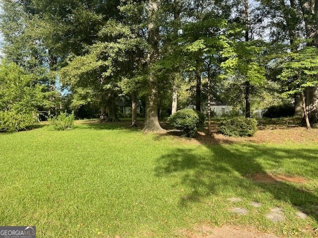 503 North Church Street Thomaston - 42