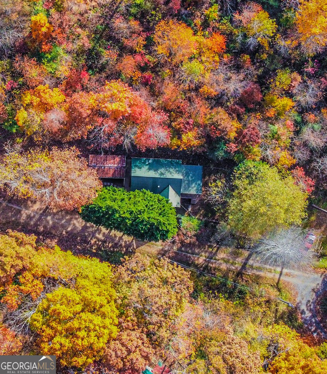 68 June Lane Ellijay - 4