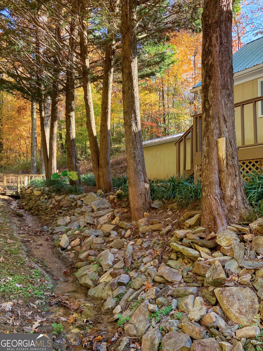 68 June Lane Ellijay - 5