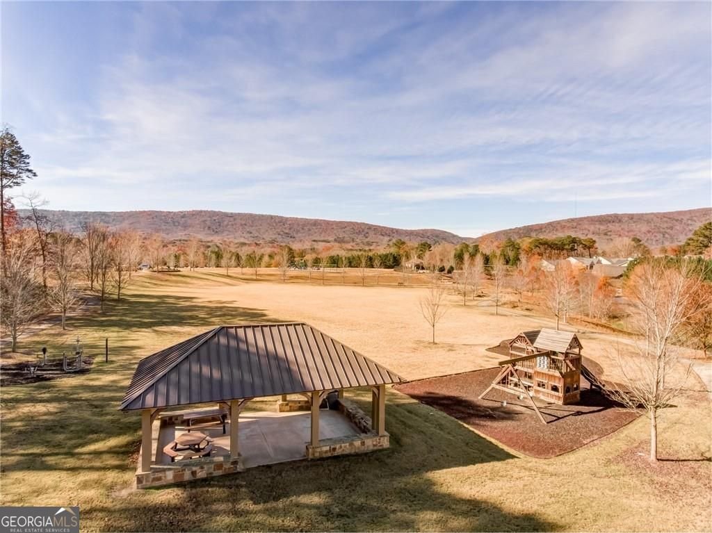 517 Amber Stone Waleska - 49