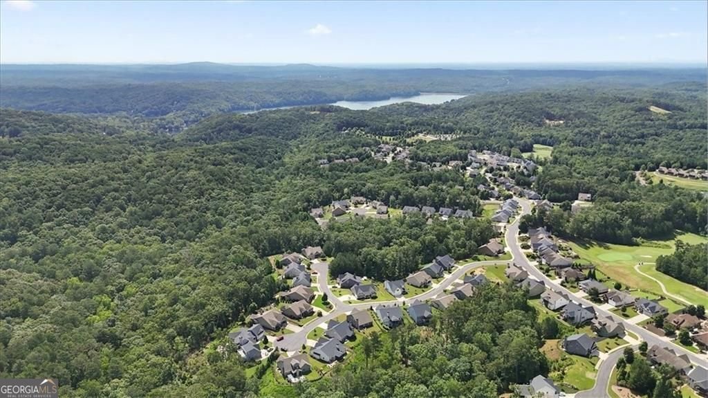 517 Amber Stone Waleska - 51