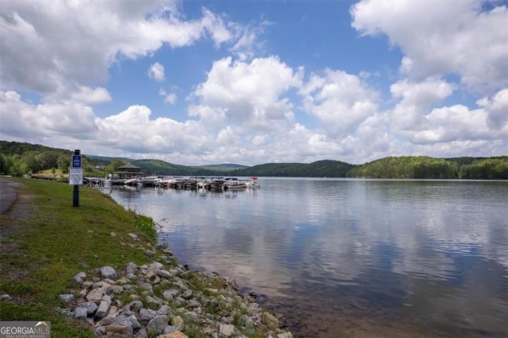 517 Amber Stone Waleska - 52