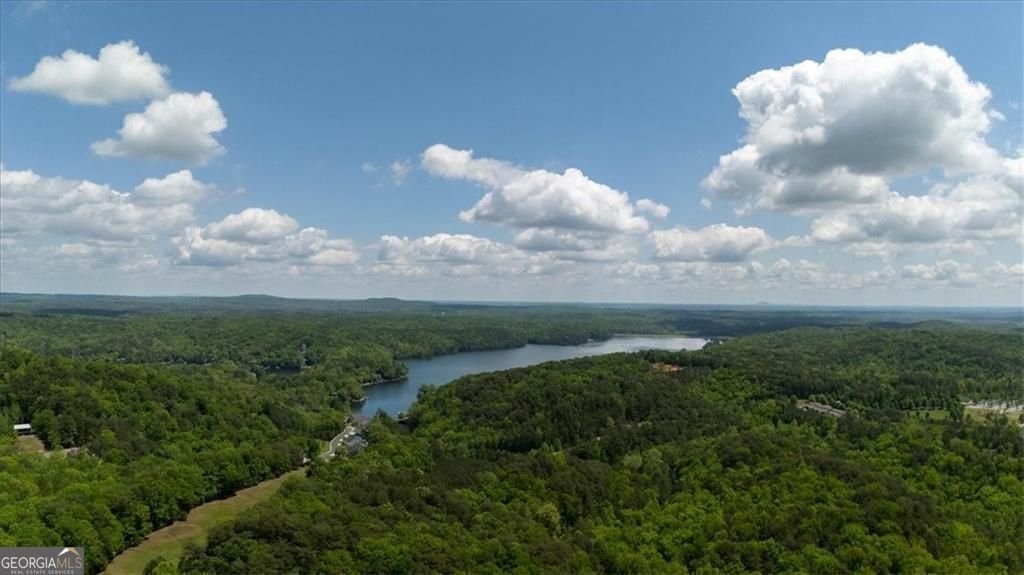 517 Amber Stone Waleska - 53