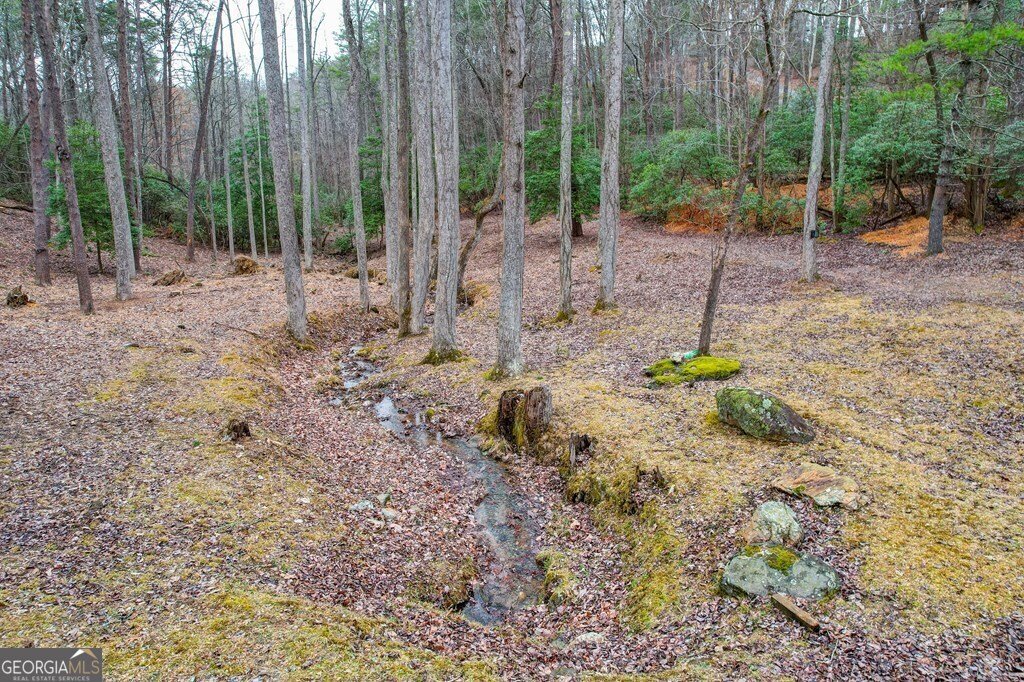 250 Crow Top Mountain Blue Ridge - 10