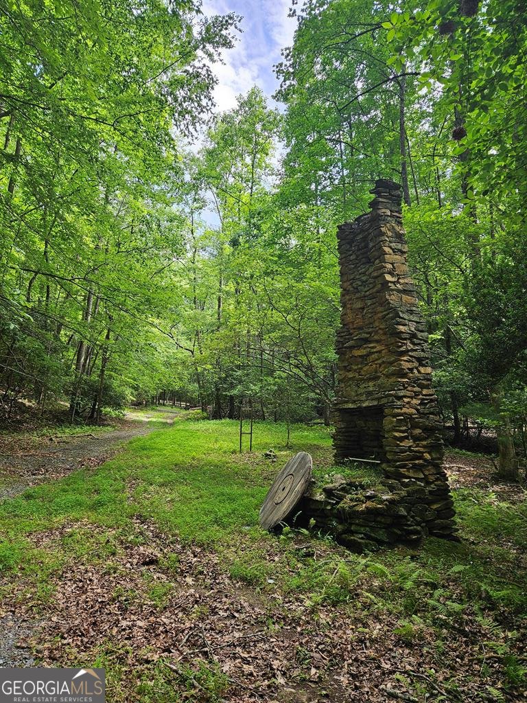 250 Crow Top Mountain Blue Ridge - 77