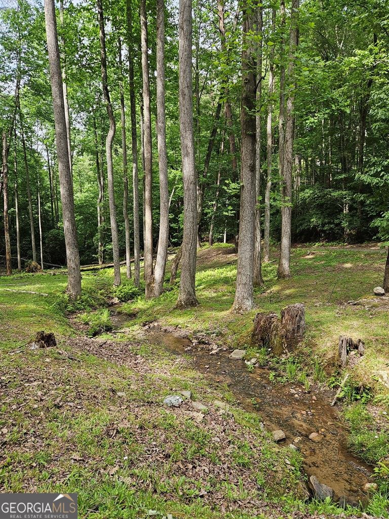 250 Crow Top Mountain Blue Ridge - 80