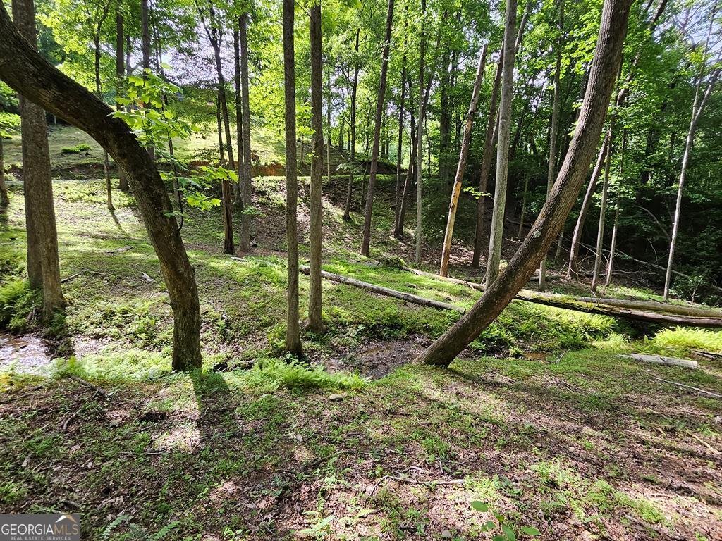 250 Crow Top Mountain Blue Ridge - 82