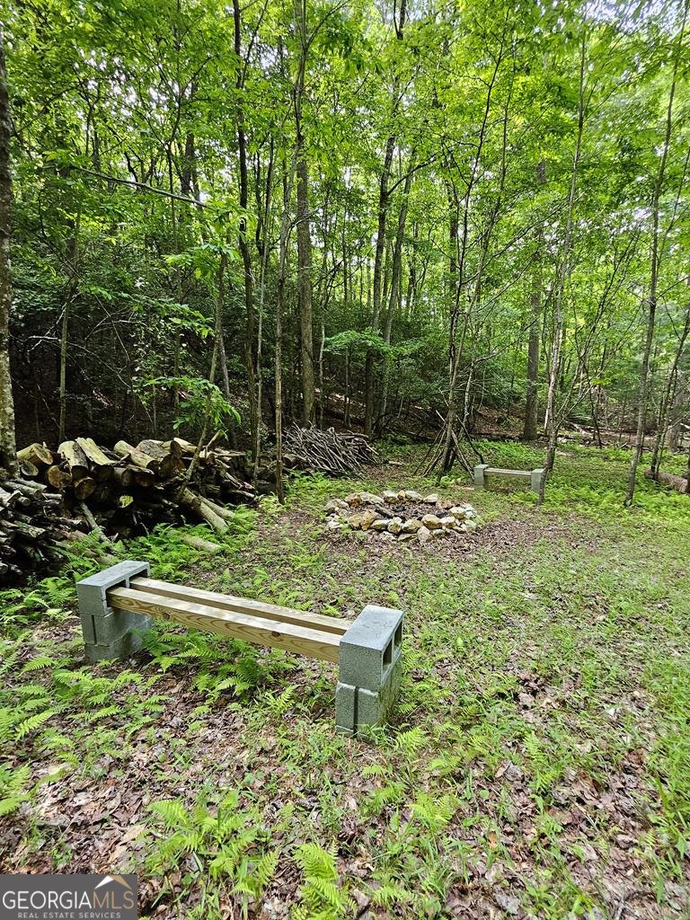 250 Crow Top Mountain Blue Ridge - 83