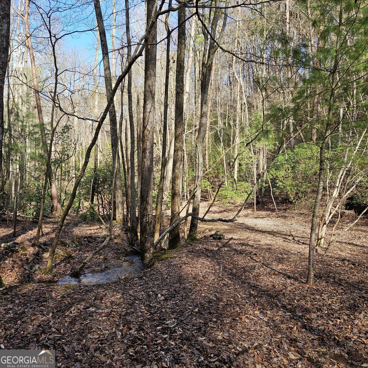 250 Crow Top Mountain Blue Ridge - 85