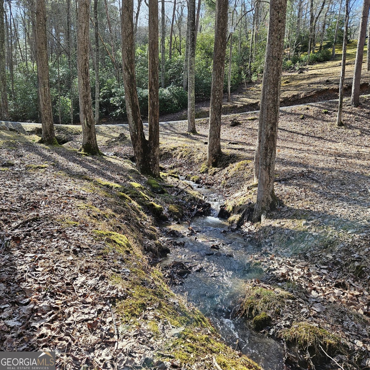 250 Crow Top Mountain Blue Ridge - 87